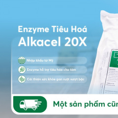 [Mua 1 sản phẩm cũng Freeship] Enzyme tiêu hóa Alkacel 20X - Enzyme đột phát, tốt cho gan ruột của tôm